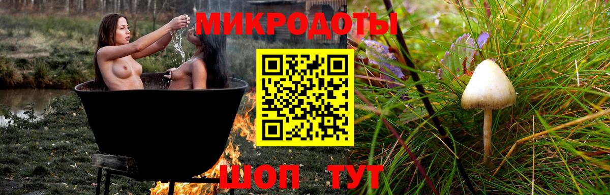 Белореченск  Псилоцибиновые грибы Cubensis  купить закладку  Вход с VPN 